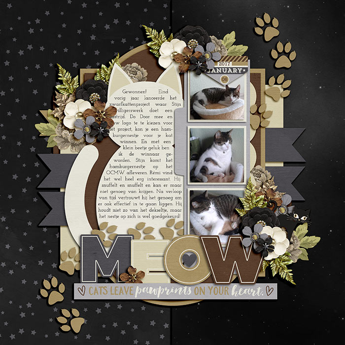 Meow
