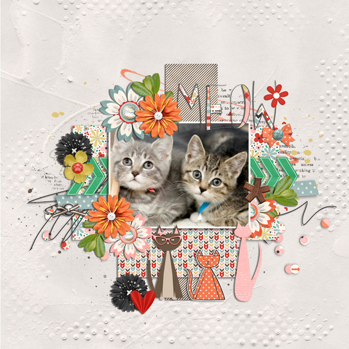 meow