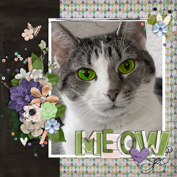 MEOW