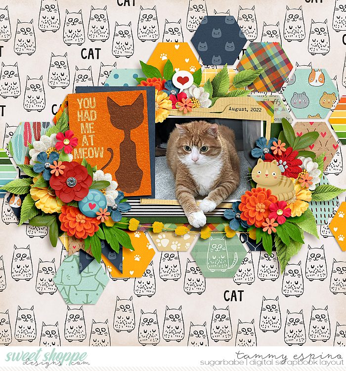 meow