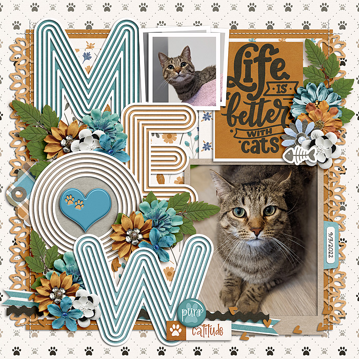 Meow
