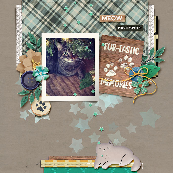 meow