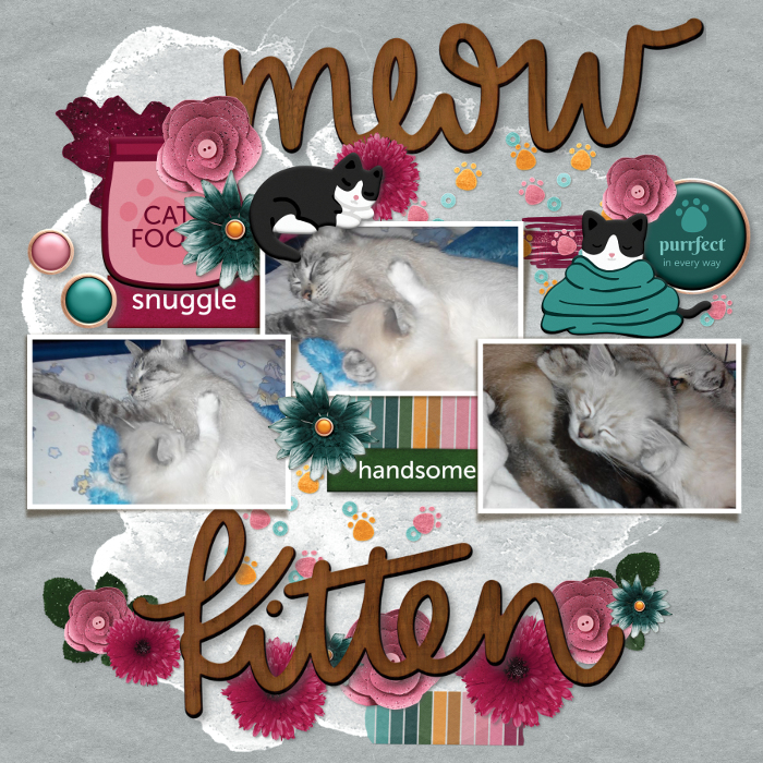 Meow