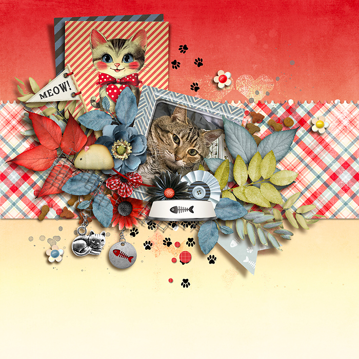 Meow