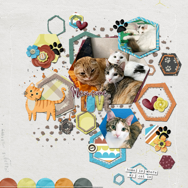 Meowsome Love