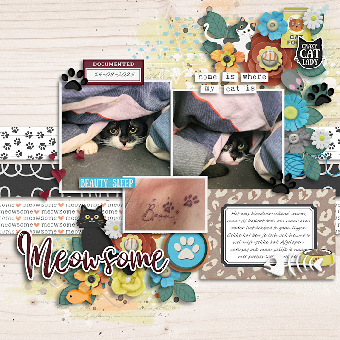 Meowsome