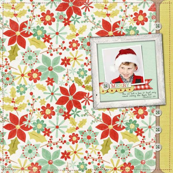MERRY / ahg_121311