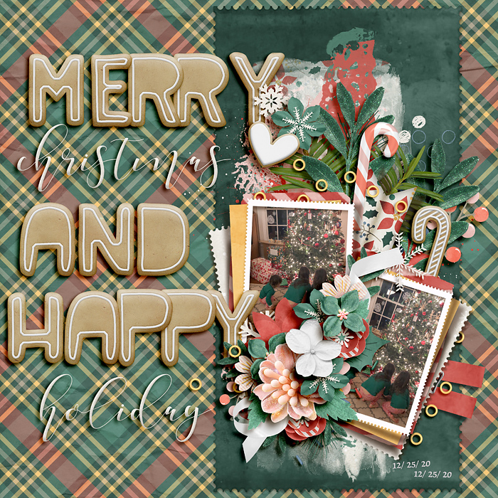 merry christmas and happy holiday