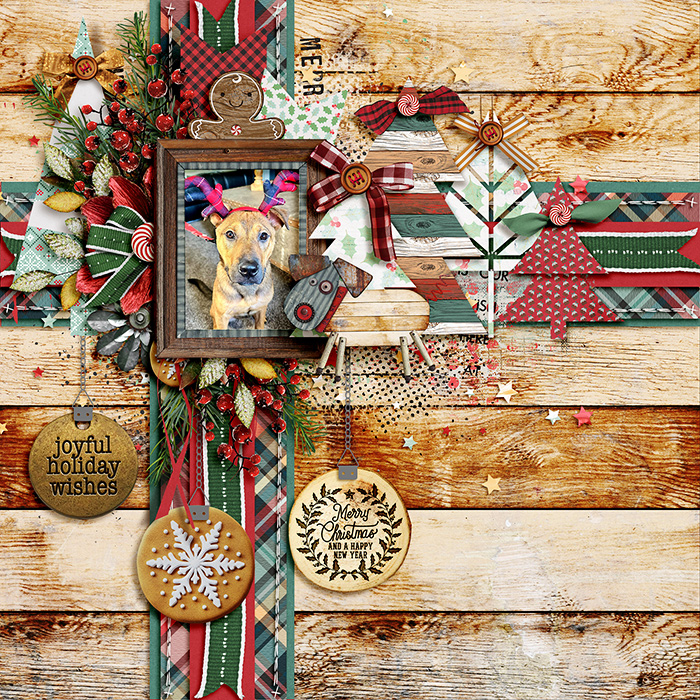 Merry Christmas from Gaige