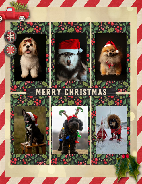 MERRY CHRISTMAS