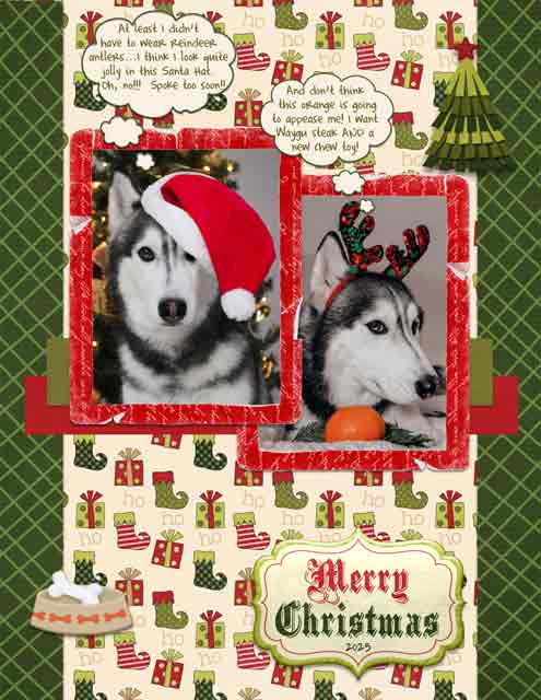 Merry Christmas