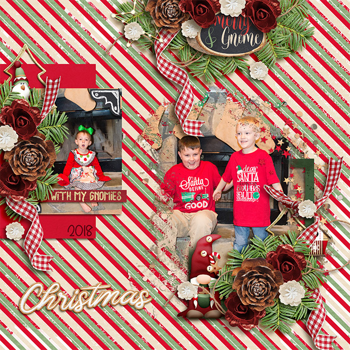Merry & Gnome