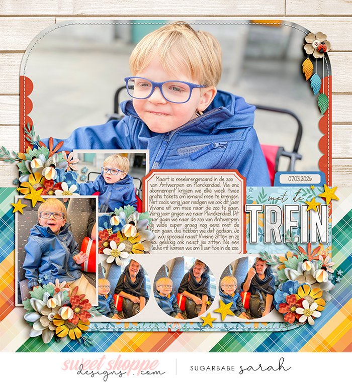 Met de trein