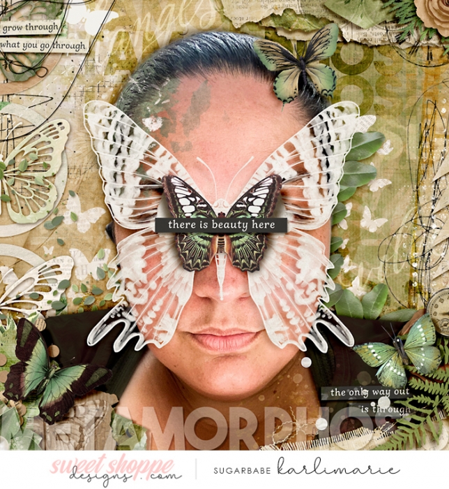 Metamorphosis