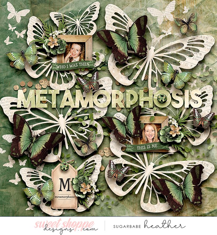 Metamorphosis