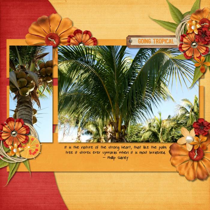 mexico01