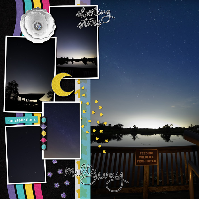Milky Way at Loxahatchee