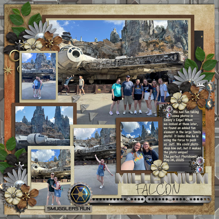 Millennium Falcon photobomb