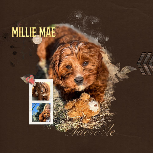 Millie Mae