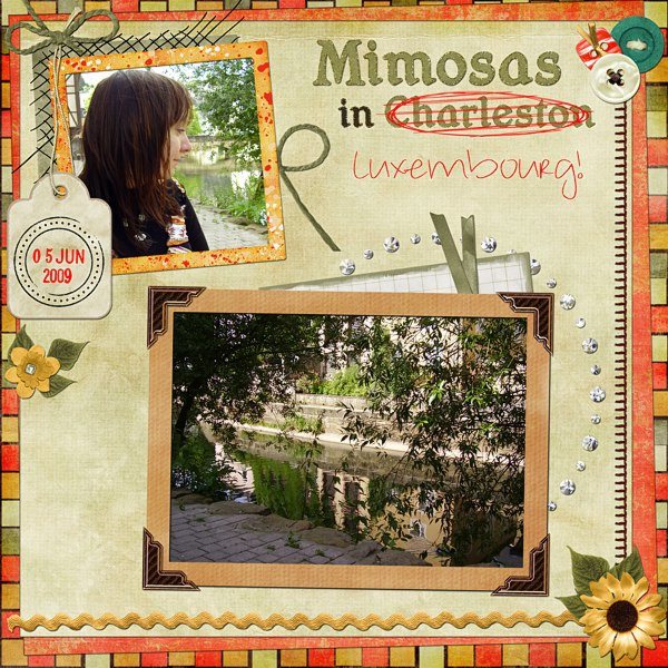 Mimosas in... Luxembourg!