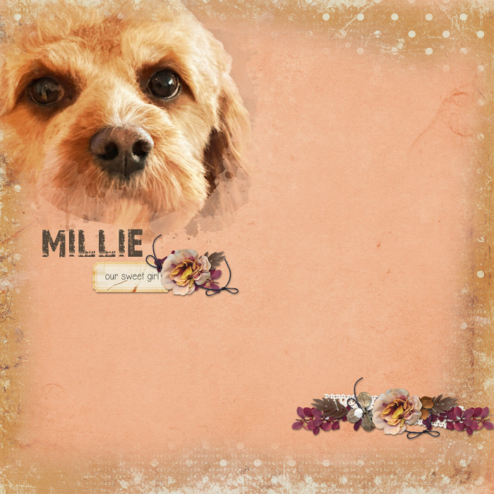 Miss Millie