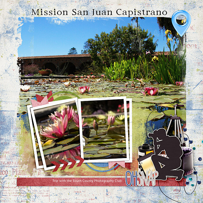 Mission Waterlilies