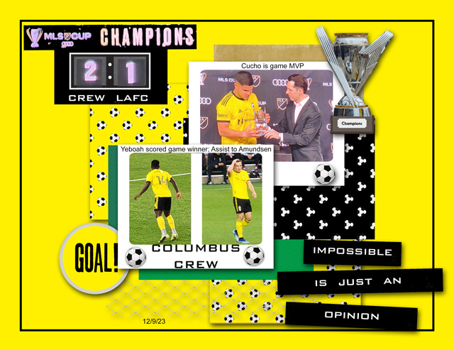 MLS CUP CHAMPIONS