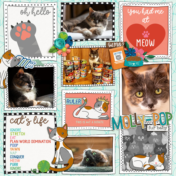 Molly-Pop Pocket Page