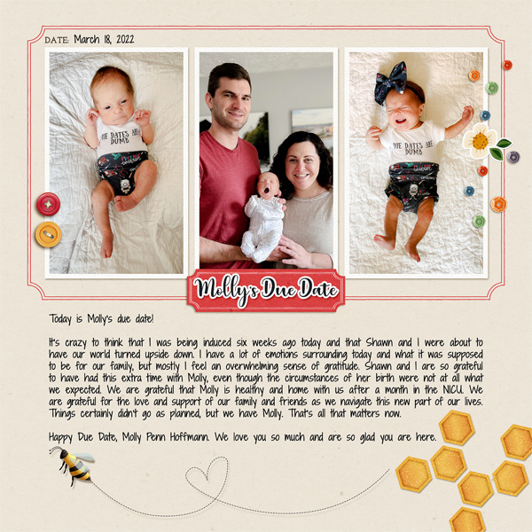 Molly's Due Date