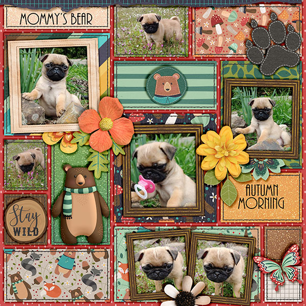 mommys bear