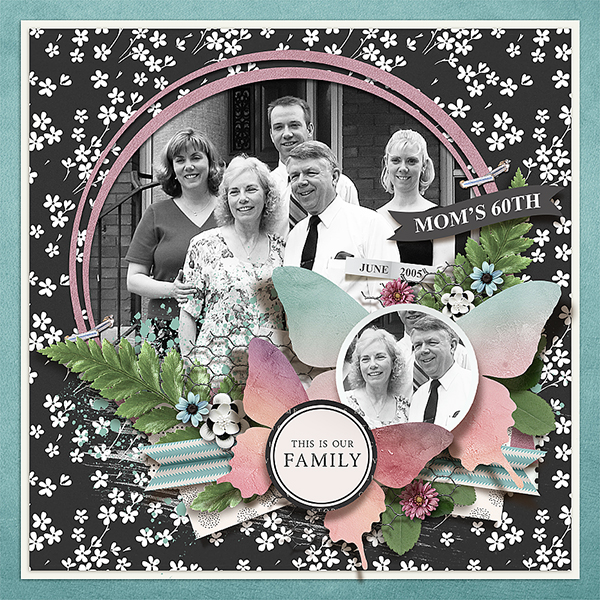 Mom's 60th Birthday