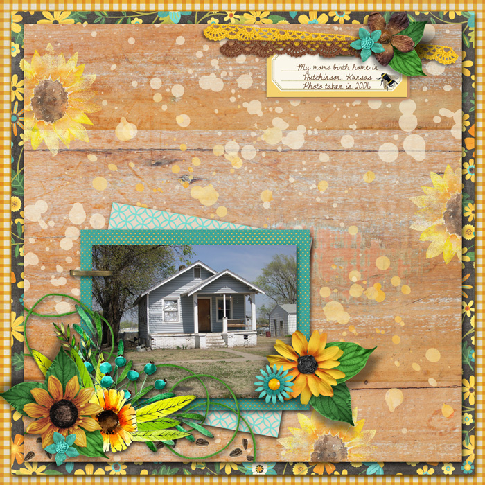 Moms-Birth-Home
