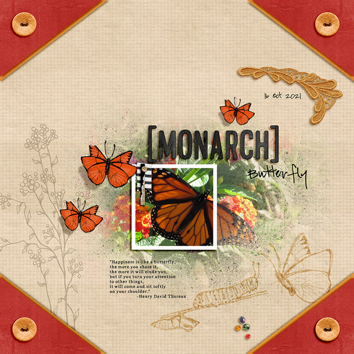 Monarch