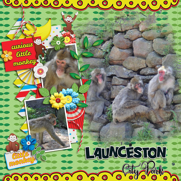 Monkey City