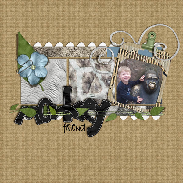 Monkey Friend