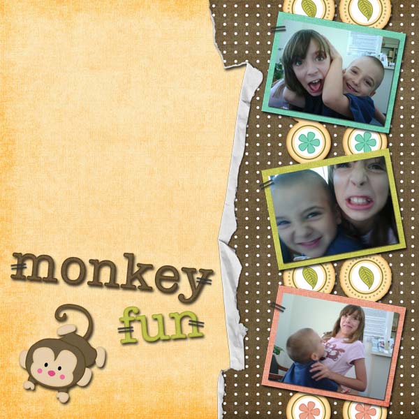 Monkey Fun