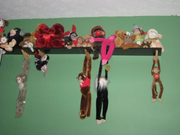 Monkey Menagerie - original color photo