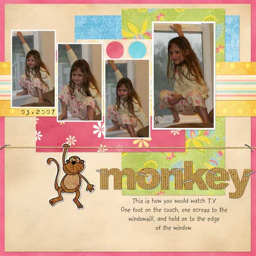 Monkey Shelby