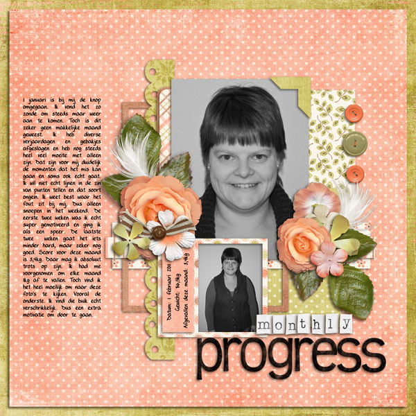 Monthly progress