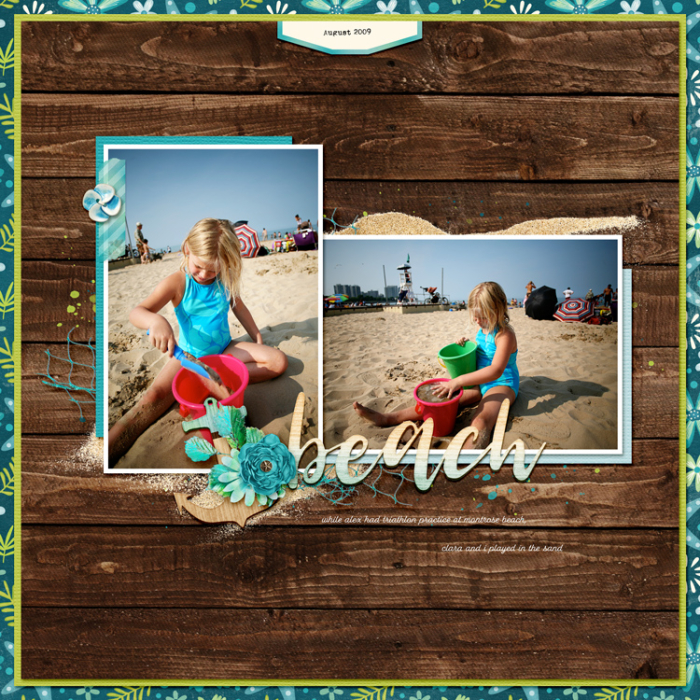 Montrose Beach
