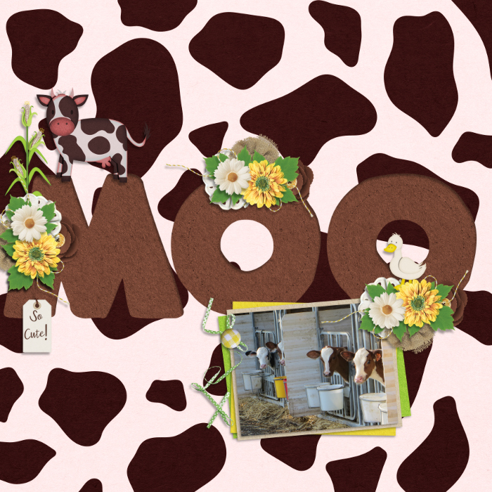 Moo
