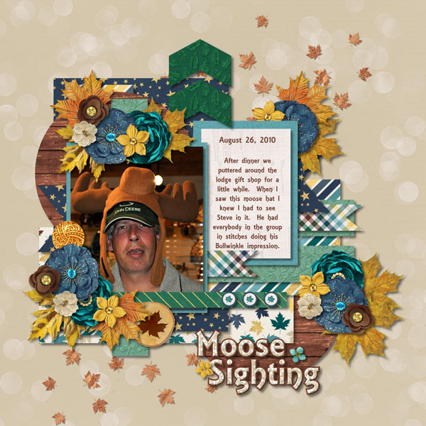 Moose Sighting