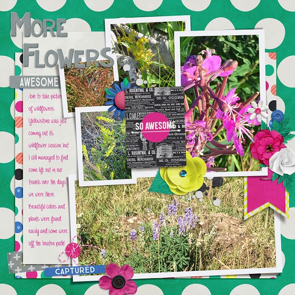 More Flowers Thursday