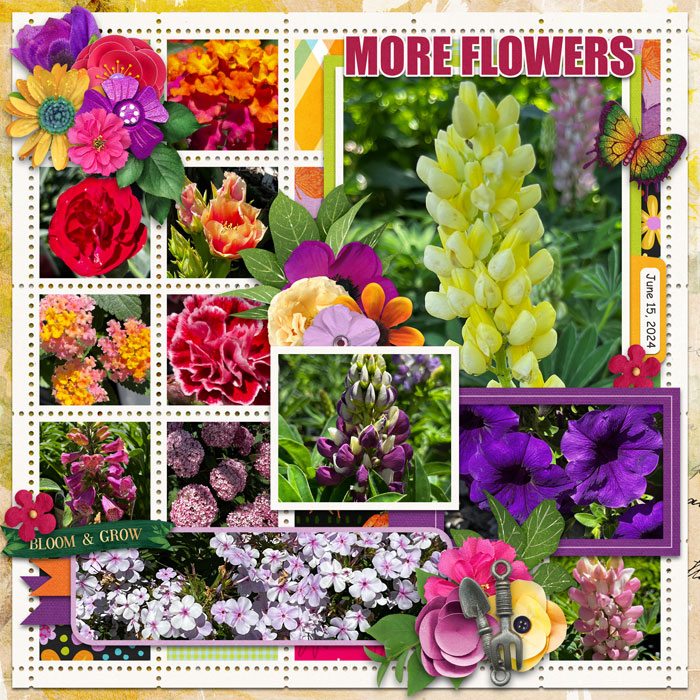 More Flowers