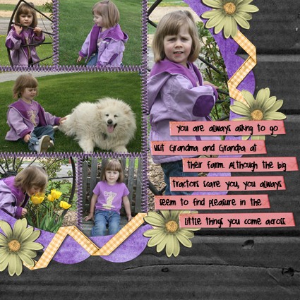 Morgan - On the Farm