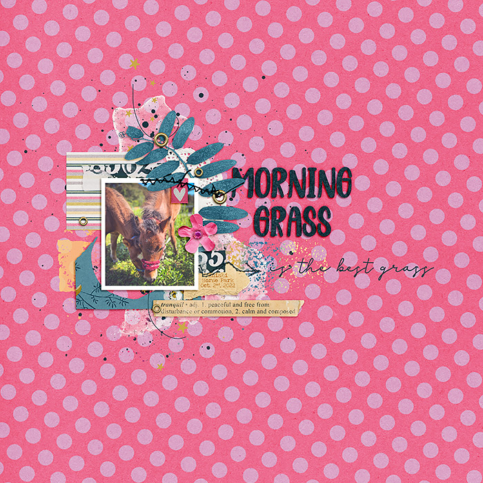 Morning Grass