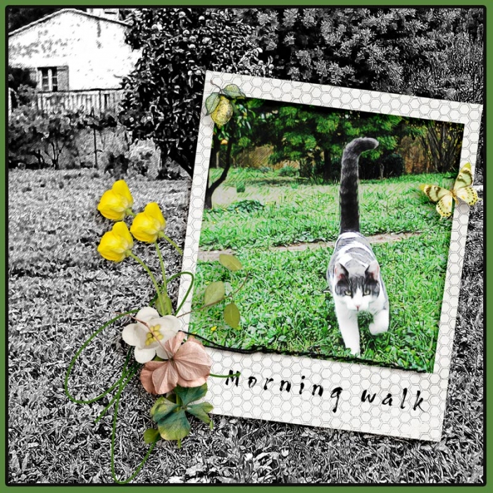 Morning Walk