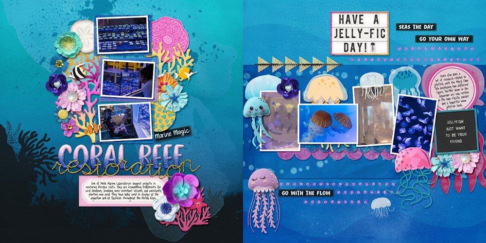 Mote Sea - coral & jellyfish spread