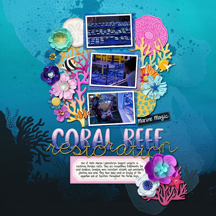 Mote Sea - coral restoration