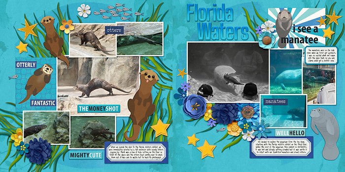 MOTE SEA - Florida Waters - full spread